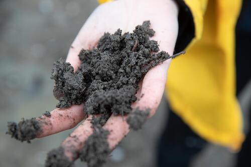 A student holds composted soil