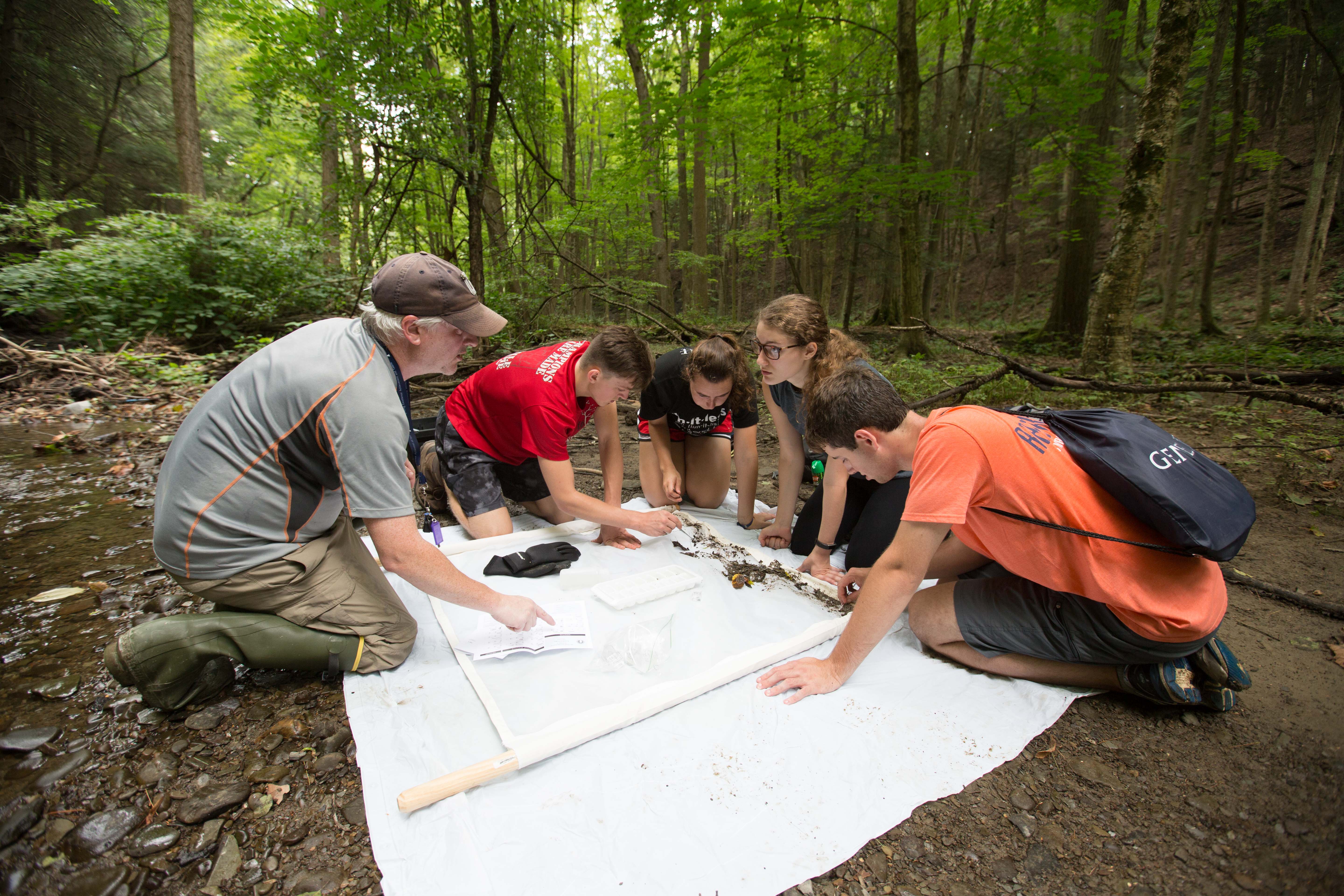 SUNY Geneseo And RIT Partner On Master's Sustainability Degree | SUNY ...