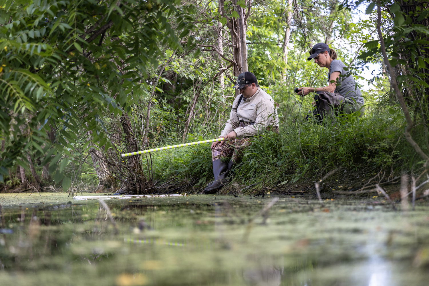 Video: Ecoacoustics Summer Research | SUNY Geneseo