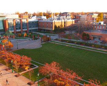 SUNY College green