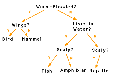 Csci 141 Tree Search Performance