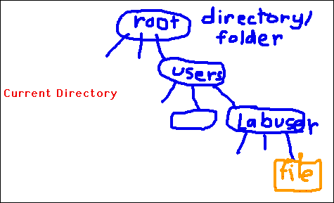 [A Hierarchy of Directories and Files]