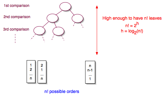 Tree of comparisons with n! leaves