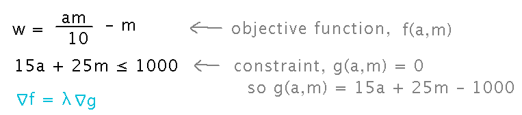 Objective function and constraint for Geneseo Widget Works
