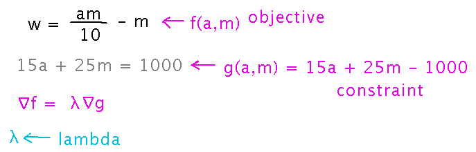 Objective function am/10 - m; constraint 15a + 25m - 1000 = 0; gradient of f = lambda times gradient of g