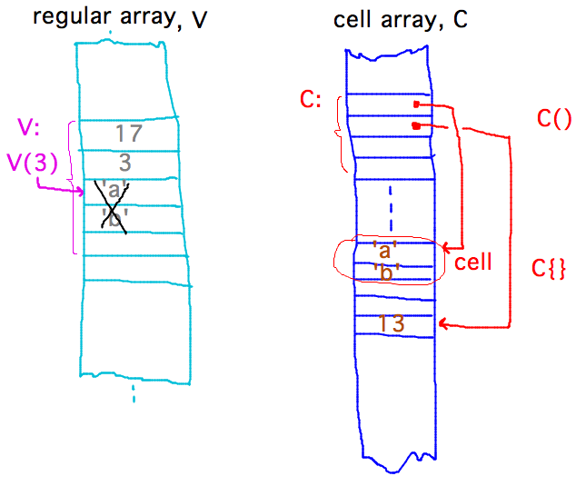 All arrays are contiguous blocks of memory; regular ones store data, cell arrays store references (cells) to data